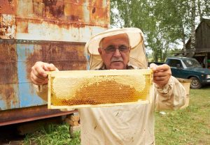 عسل مانوكا النيوزلندي فوائده العلاجية - تيجان قولد عسل مانوكا النيوزلندي فوائده العلاجية